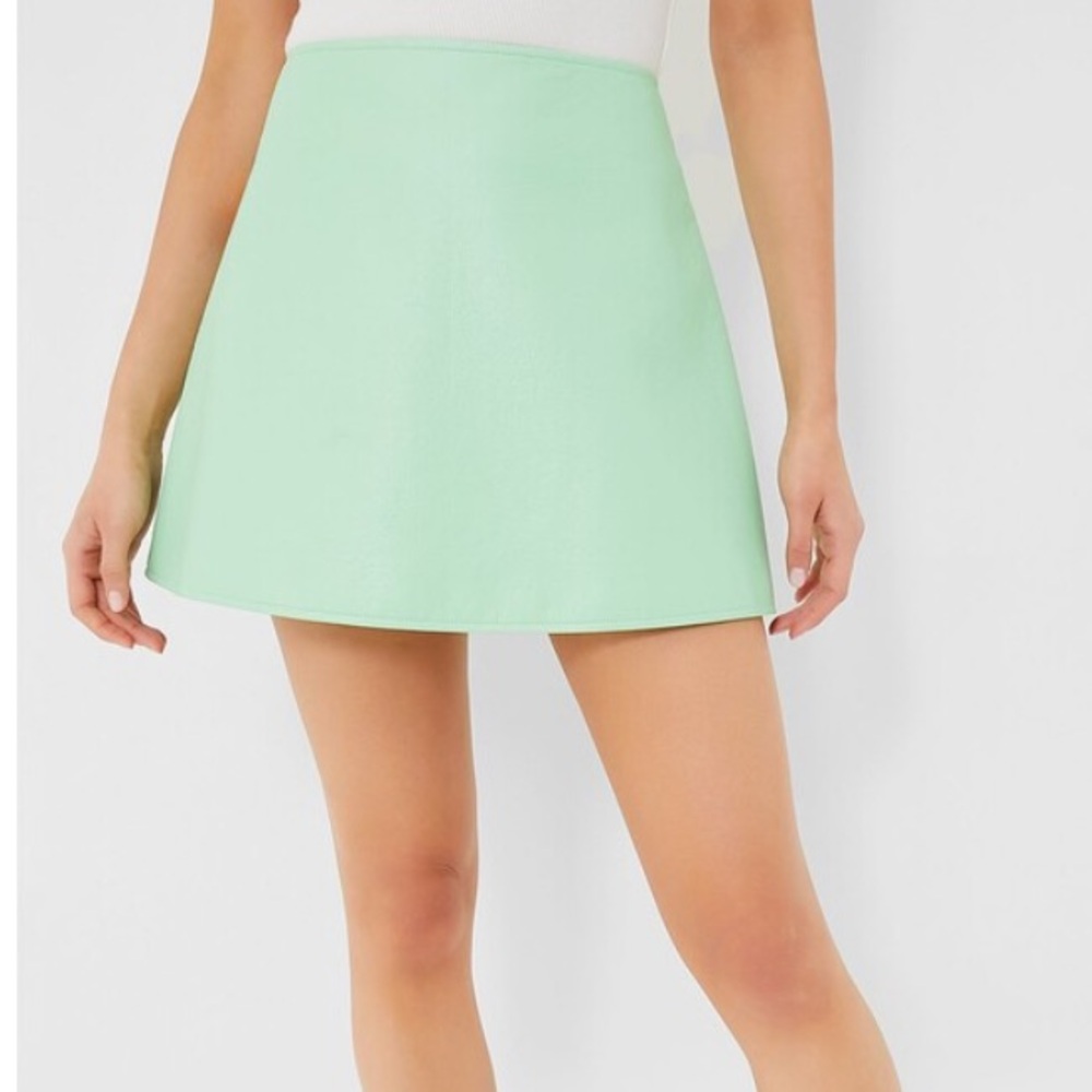 Mint Chip Leather Meg Mini Skirt
